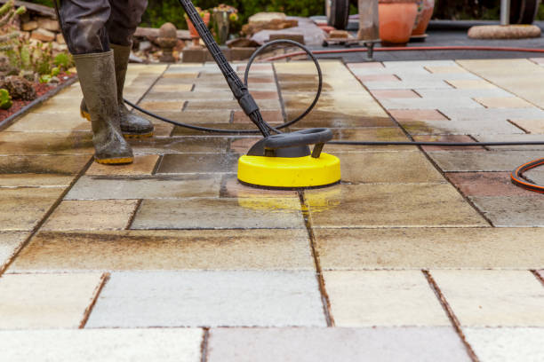 Best Animal Enclosure Cleaning  in Lemont, PA